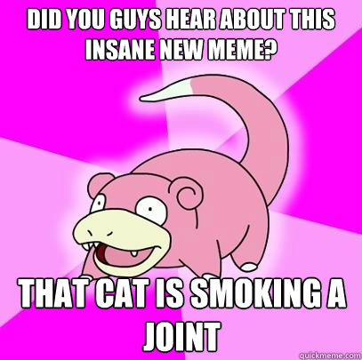 Did you guys hear about this insane new meme? that cat is smoking a joint  Slowpoke