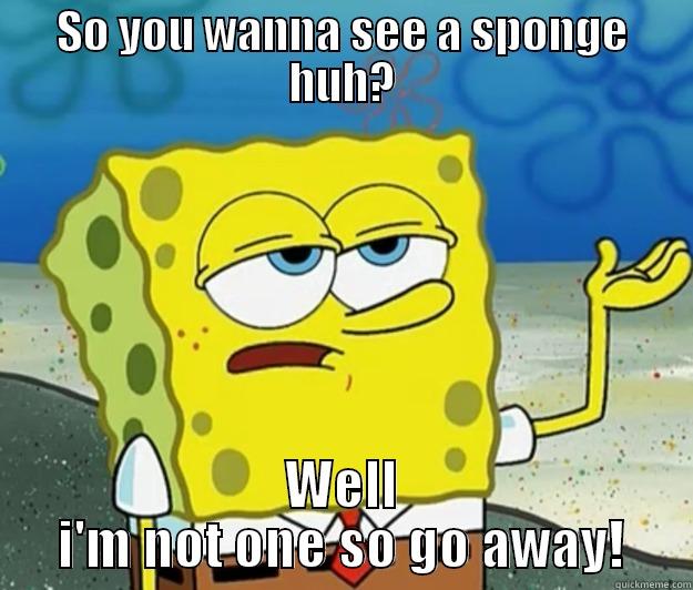 So you wanna see a sponge huh? - SO YOU WANNA SEE A SPONGE HUH? WELL I'M NOT ONE SO GO AWAY! Tough Spongebob