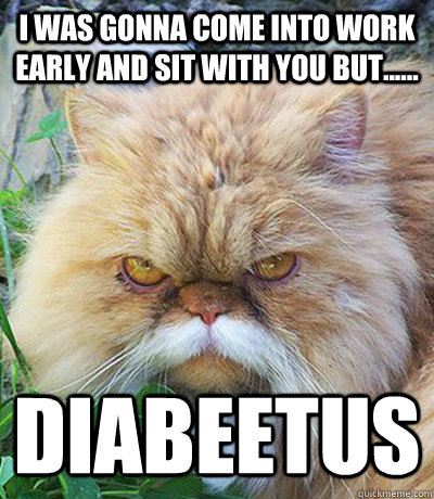 I was gonna come into work early and sit with you but...... Diabeetus  Diabeetus Cat