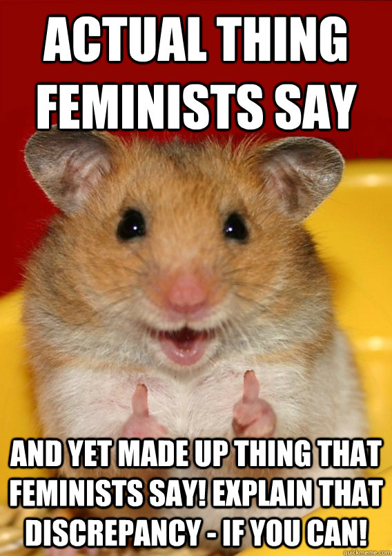 actual thing feminists say and yet made up thing that feminists say! explain that discrepancy - if you can! - actual thing feminists say and yet made up thing that feminists say! explain that discrepancy - if you can!  Rationalization Hamster