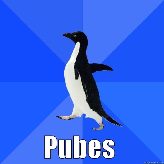 Penguins! Fuckem! -  PUBES Socially Awkward Penguin