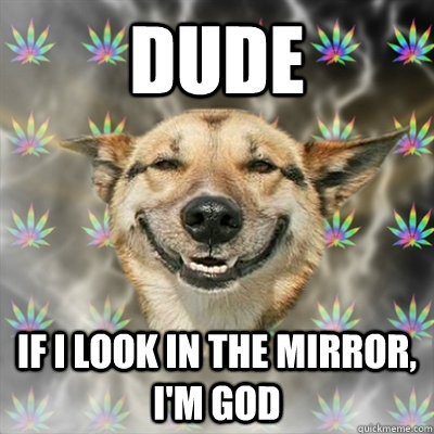 Dude If I look in the mirror, I'm GOD  Stoner Dog