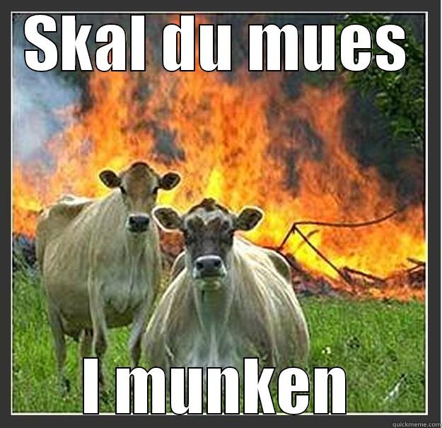 SKAL DU MUES I MUNKEN Evil cows