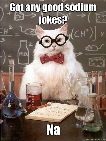 Got any good sodium jokes? Na - Got any good sodium jokes? Na  Chemistry Cat