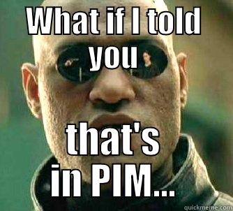 emPowered by PIM - WHAT IF I TOLD YOU THAT'S IN PIM... Matrix Morpheus