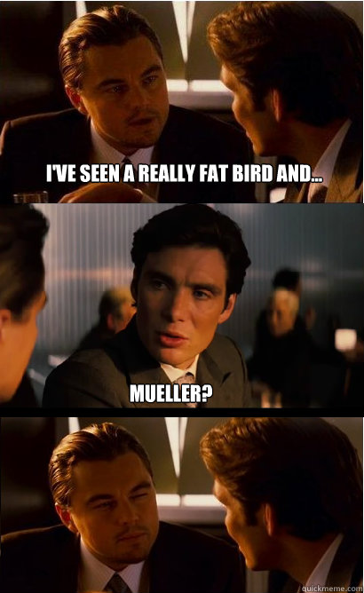 I've seen a really fat bird and... Mueller?  Inception Meme