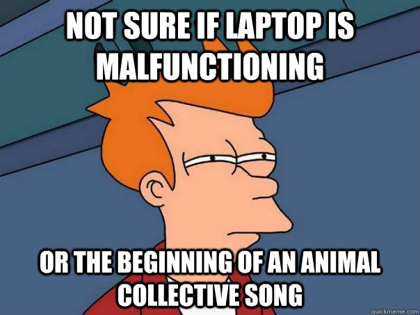 Not sure if laptop is malfunctioning or the beginning of an animal collective song  Futurama Fry