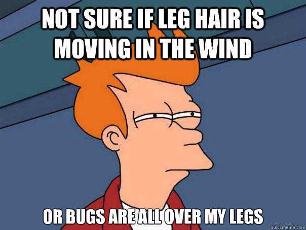 Not sure if leg hair is moving in the wind Or bugs are all over my legs  Futurama Fry