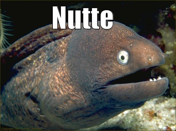 NUTTE   Bad Joke Eel