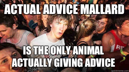 Actual advice mallard  Is the only animal actually giving advice  Sudden Clarity Clarence