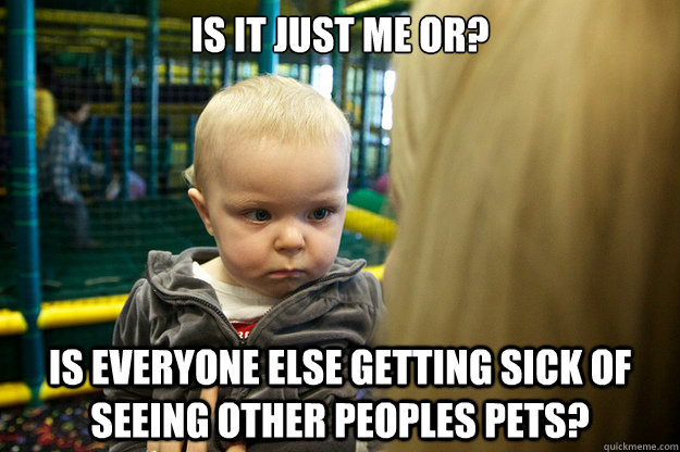 Is it just me or? Is everyone else getting sick of seeing other peoples pets?  