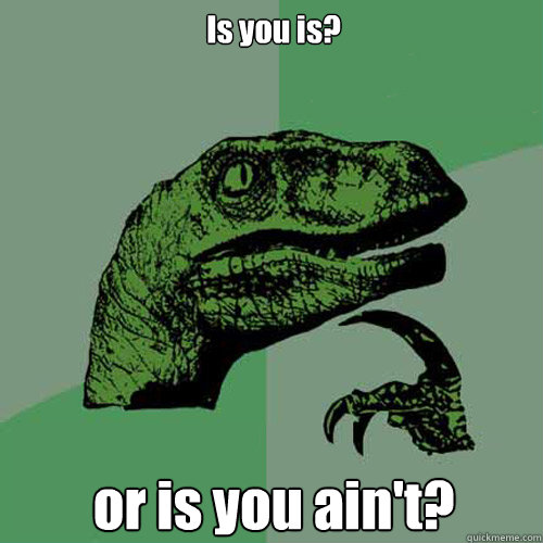 Is you is? or is you ain't? - Is you is? or is you ain't?  Philosoraptor