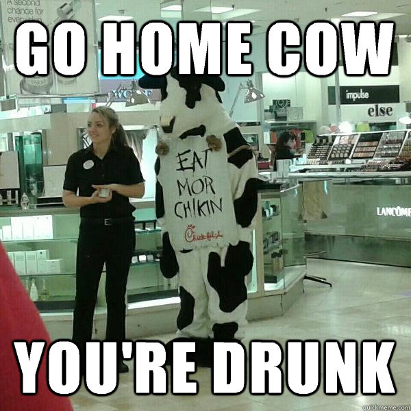 Go home cow You're Drunk - Go home cow You're Drunk  chick fil a cow in macys