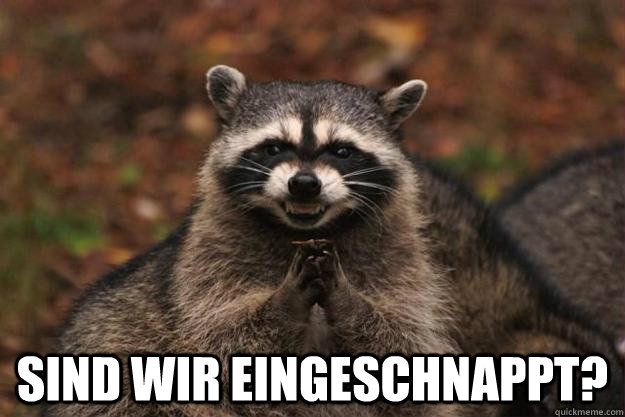  Sind wir eingeschnappt?   Evil Plotting Raccoon