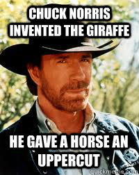 chuck norris invented the giraffe he gave a horse an uppercut - chuck norris invented the giraffe he gave a horse an uppercut  Misc