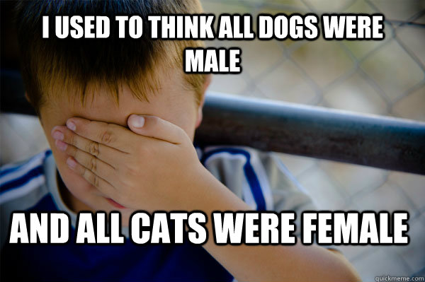 I used to think all dogs were male and all cats were female  Confession kid