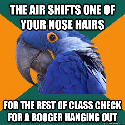 the air shifts one of your nose hairs for the rest of class check for a booger hanging out - the air shifts one of your nose hairs for the rest of class check for a booger hanging out  Paranoid Parrot