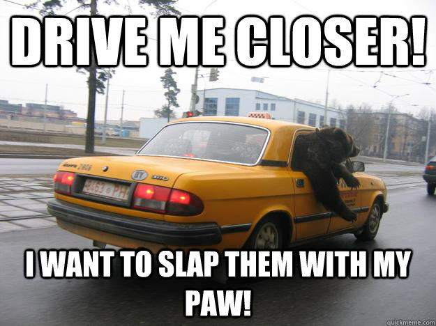 Drive me closer! I want to slap them with my paw!  