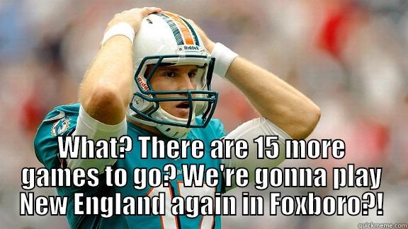  WHAT? THERE ARE 15 MORE GAMES TO GO? WE'RE GONNA PLAY NEW ENGLAND AGAIN IN FOXBORO?! Misc