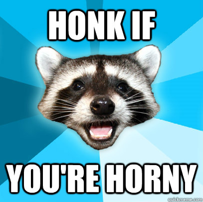 honk if you're horny  Lame Pun Coon