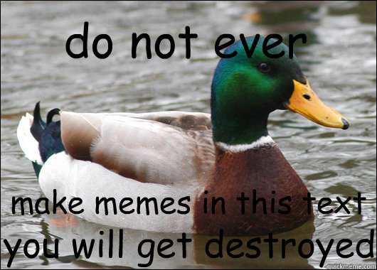 do not ever make memes in this text you will get destroyed - do not ever make memes in this text you will get destroyed  Actual Advice Mallard