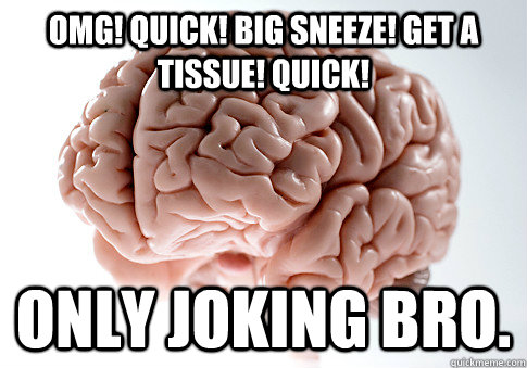 OMG! QUICK! BIG SNEEZE! GET A TISSUE! QUICK! ONLY JOKING BRO.   Scumbag Brain