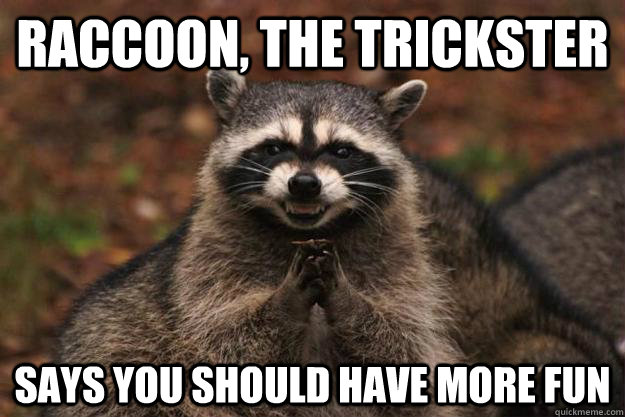 Raccoon, the Trickster Says you should have more fun  Evil Plotting Raccoon