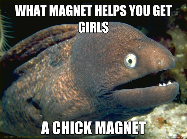 what magnet helps you get girls a chick magnet  Bad Joke Eel