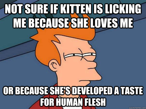 Not sure if kitten is licking me because she loves me Or because she's developed a taste for human flesh - Not sure if kitten is licking me because she loves me Or because she's developed a taste for human flesh  Futurama Fry