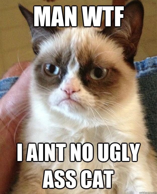 Man wtf I aint no ugly ass cat  Grumpy Cat