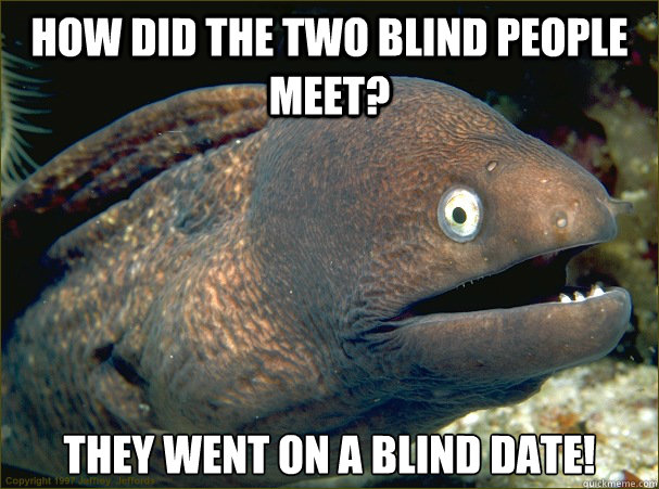 How did the two blind people meet? They went on a blind date! Caption 3 goes here  Bad Joke Eel