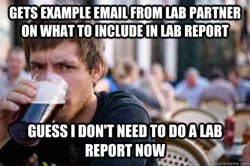 gets example email from lab partner on what to include in lab report Guess I don't need to do a lab report now  Lazy College Senior