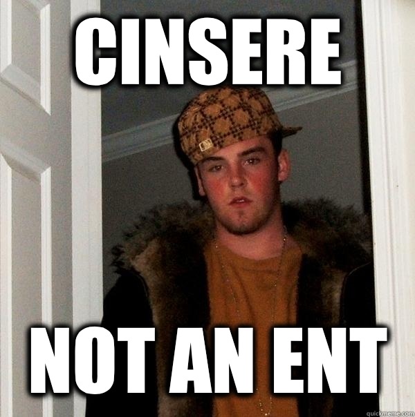 CINSERE Not an ent  Scumbag Steve