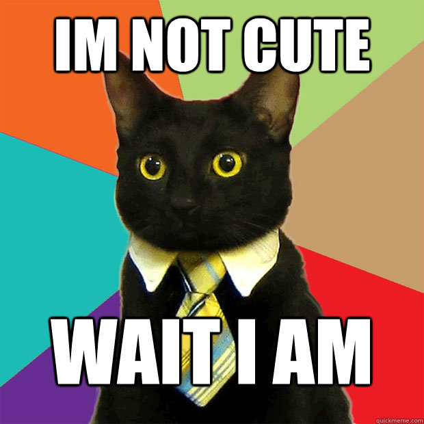 im not cute wait i am  - im not cute wait i am   Business Cat