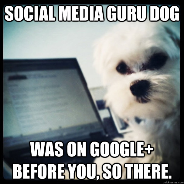 Social Media Guru Dog was on google+ before you, so there.  Social Media Guru Dog