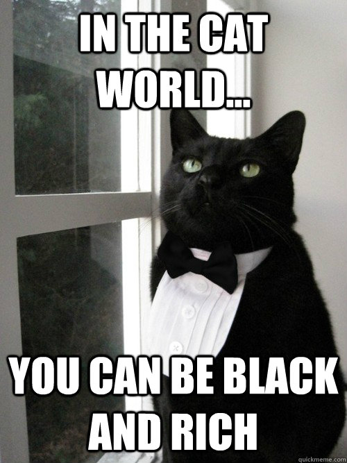 In the cat world... you can be black and rich - In the cat world... you can be black and rich  One Percent Cat