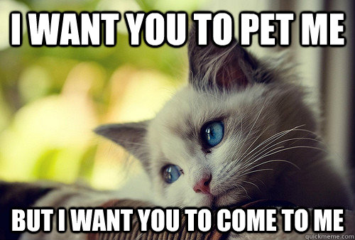 I want you to pet me but i want you to come to me  First World Problems Cat