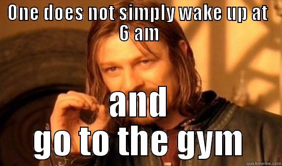 ONE DOES NOT SIMPLY WAKE UP AT  6 AM AND GO TO THE GYM Boromir