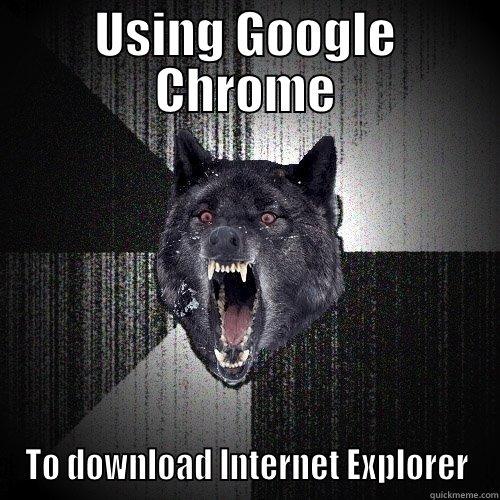 USING GOOGLE CHROME TO DOWNLOAD INTERNET EXPLORER Insanity Wolf