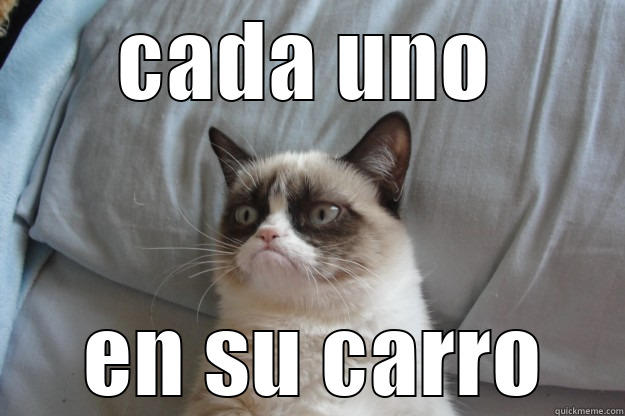 CADA UNO  EN SU CARRO Grumpy Cat