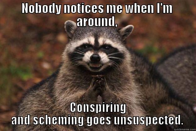 NOBODY NOTICES ME WHEN I'M AROUND,  CONSPIRING AND SCHEMING GOES UNSUSPECTED. Evil Plotting Raccoon