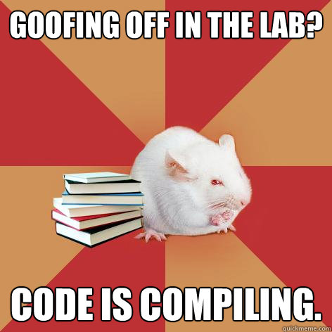 goofing off in the lab? CODE IS COMPILING.  Science Major Mouse