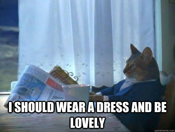  i should wear a dress and be lovely  morning realization newspaper cat meme