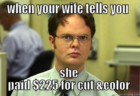 WHEN YOUR WIFE TELLS YOU  SHE PAID $225 FOR CUT &COLOR Schrute