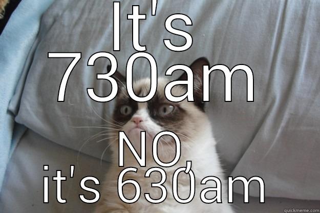 IT'S 730AM NO, IT'S 630AM Grumpy Cat