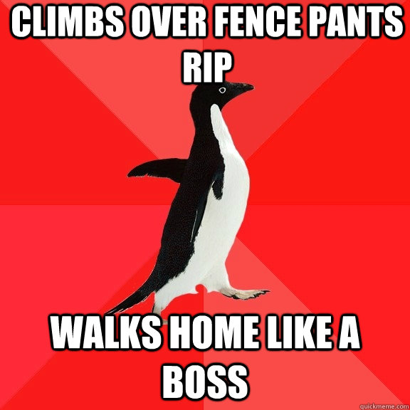 climbs over fence pants rip walks home like a boss  Socially Awesome Penguin