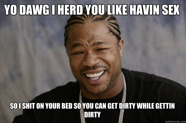 YO DAWG I HERD YOU LIKE havin sex SO I shit on your bed so you can get dirty while gettin dirty - YO DAWG I HERD YOU LIKE havin sex SO I shit on your bed so you can get dirty while gettin dirty  Xzibit meme