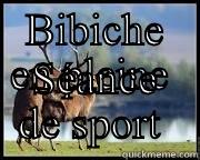 BIBICHE EN PLEINE  SÉANCE DE SPORT  Misc