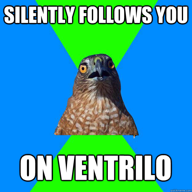 Silently follows you on ventrilo - Silently follows you on ventrilo  Hawkward