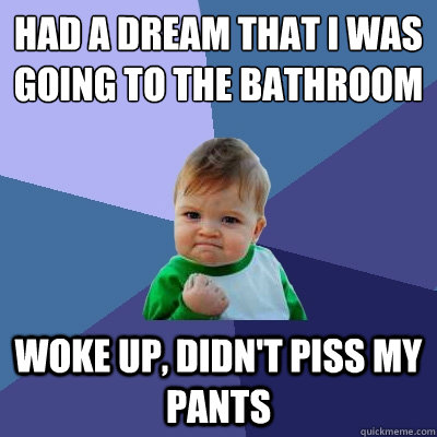 Had a dream that i was going to the bathroom woke up, didn't piss my pants - Had a dream that i was going to the bathroom woke up, didn't piss my pants  Success Kid